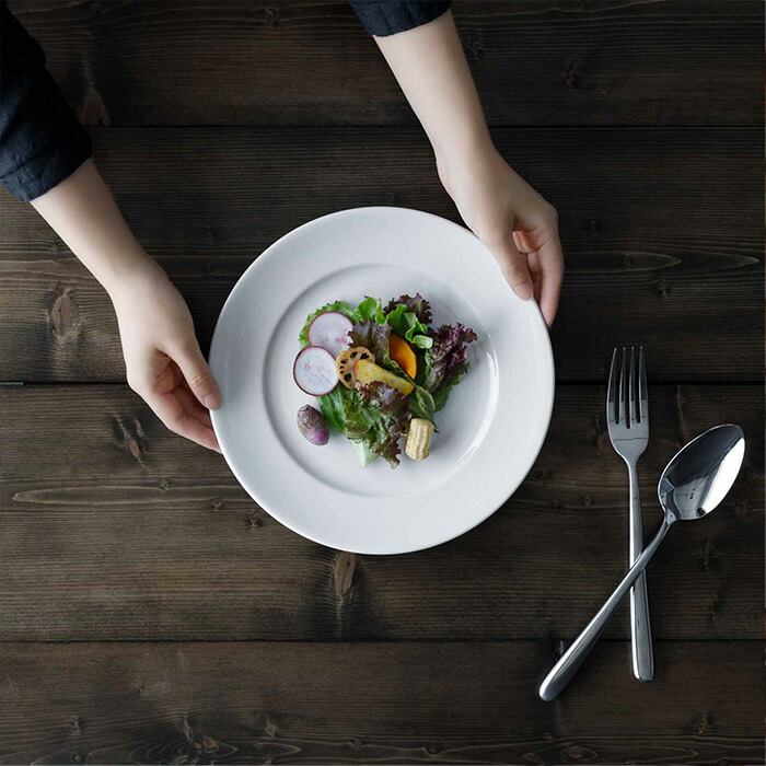 ピリヴィッツ　パリ　クラシック　プレート　27cm　P004　/　PILLIVUYT　Classic